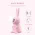 Kissing Bunny